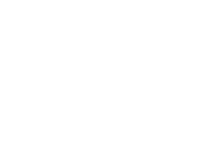 Declaration_mariage_robes_de_mariee